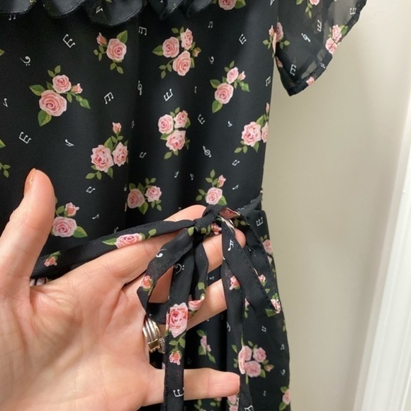 Hot Topic Darling Black Dress with Pink Roses - Picture 11 of 14
